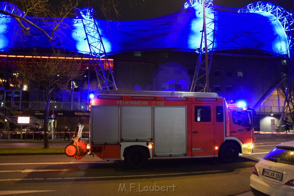 Baum auf PKWs Koeln Mitte Rheinuferstr Goldgasse P052.JPG - Miklos Laubert